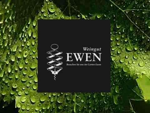 1920x1440 Logo Ewen 33